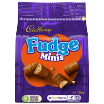 Cadbury  100G Fudge Minis 10Ca